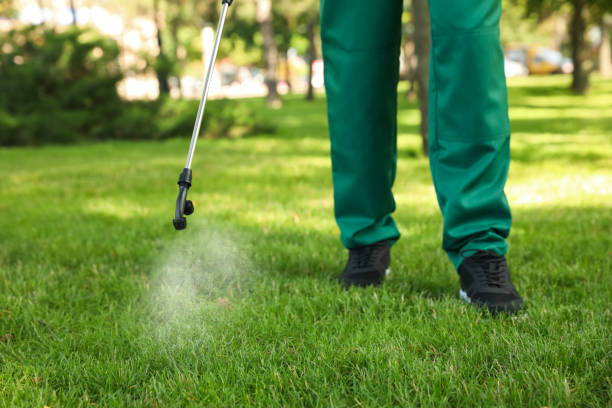 Best Insect Control  in Greenfield, WI