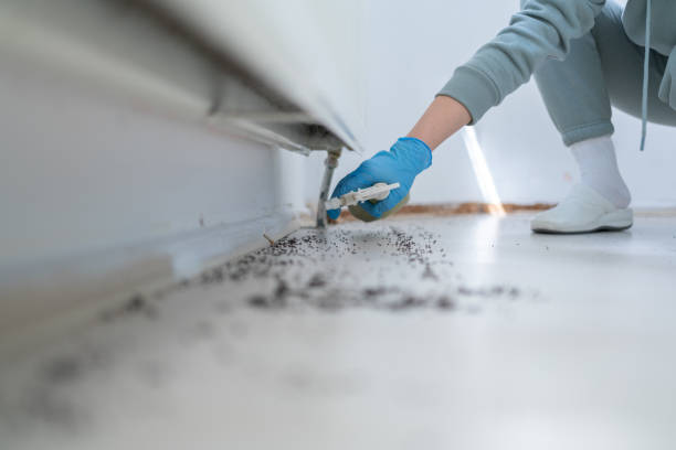 Best Affordable Pest Control Services  in Greenfield, WI