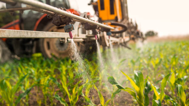 Best Mosquito Control Services  in Greenfield, WI